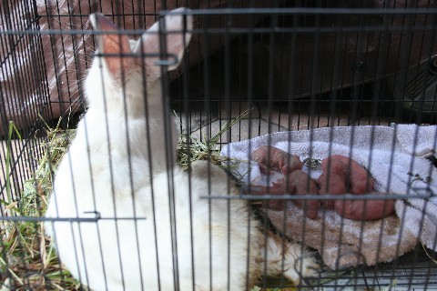 [bunny2.jpg]