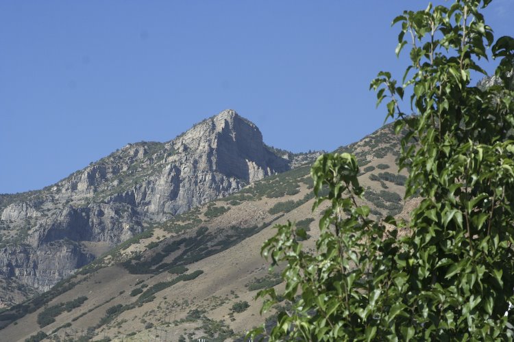 [08Aug22_Utah-1.jpg]