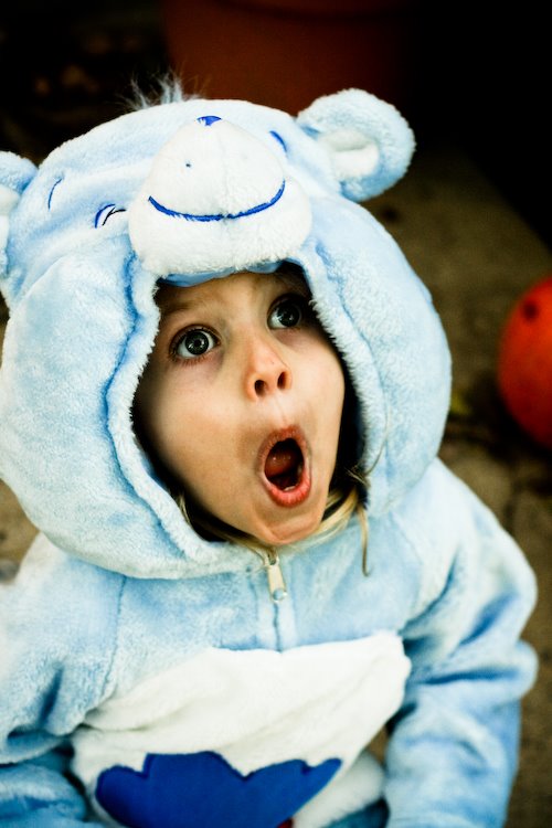 [08Oct30_trunk.or.treat_51.jpg]