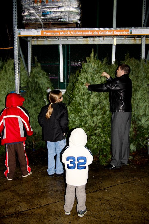 [08Dec01_Tree_1.jpg]