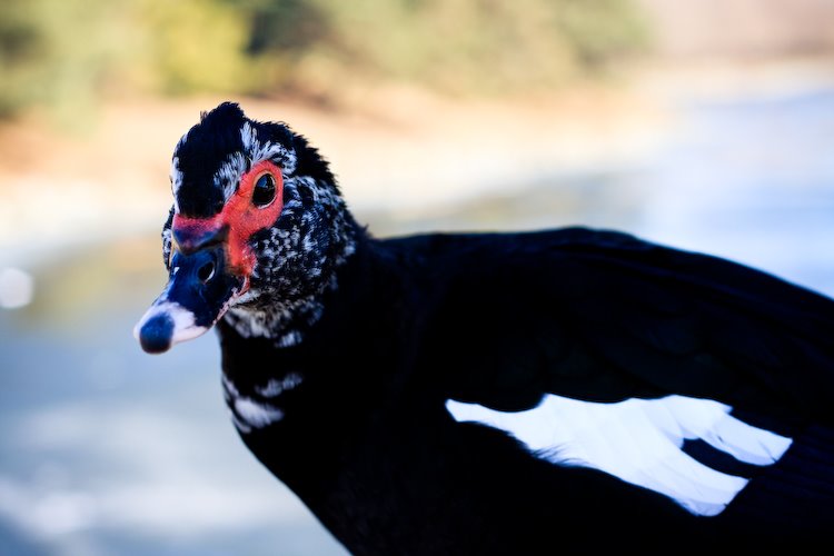 [09Jan23_Rio_39.jpg]