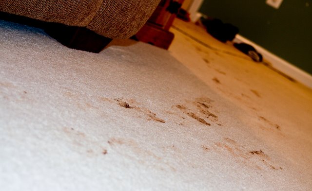 [09Mar04_scouts_3.jpg]