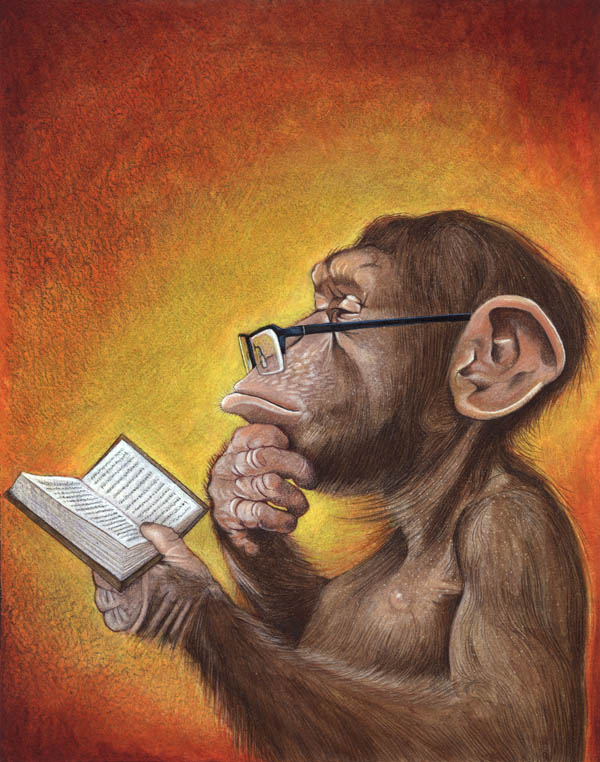 book_monkey_web.jpg