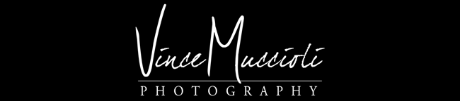Vince Muccioli Photography