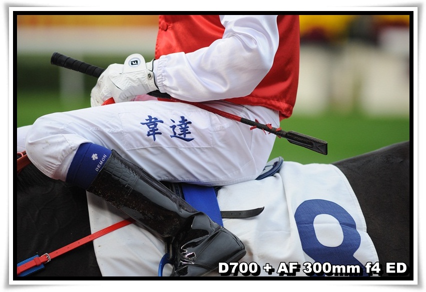[HorseRace_15.JPG]