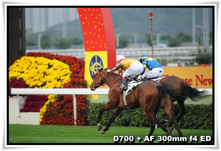 [HorseRace_12.JPG]