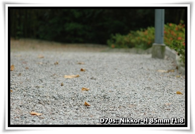 [DSC_1086.JPG]