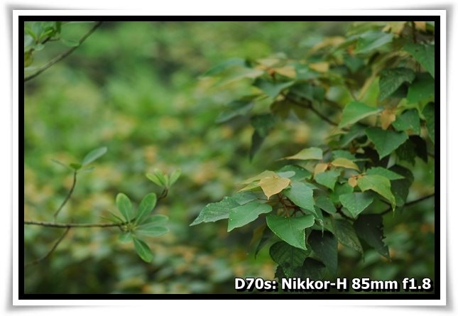 [DSC_1070.JPG]