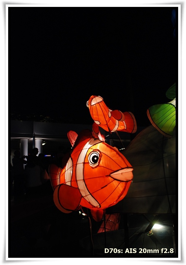 [DSC_3478.JPG]