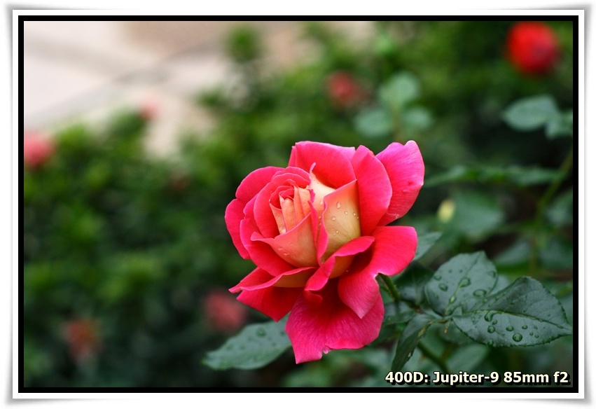 [IMG_6715.JPG]