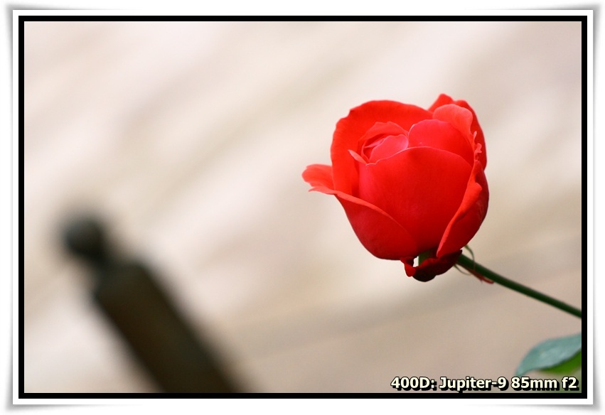 [IMG_6710.JPG]