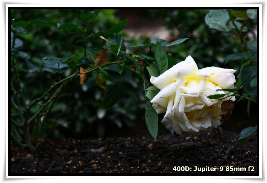 [IMG_6753.JPG]