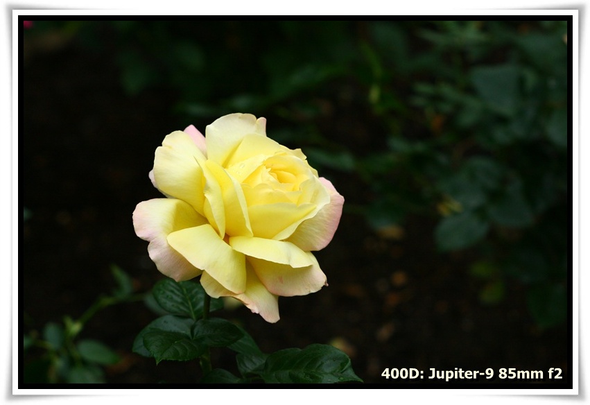 [IMG_6693.JPG]
