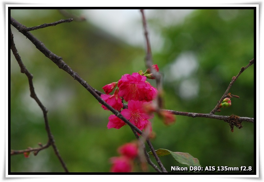 [DSC_5865.JPG]