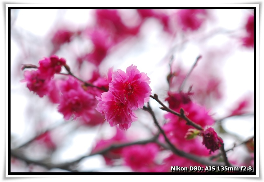 [DSC_5871.JPG]