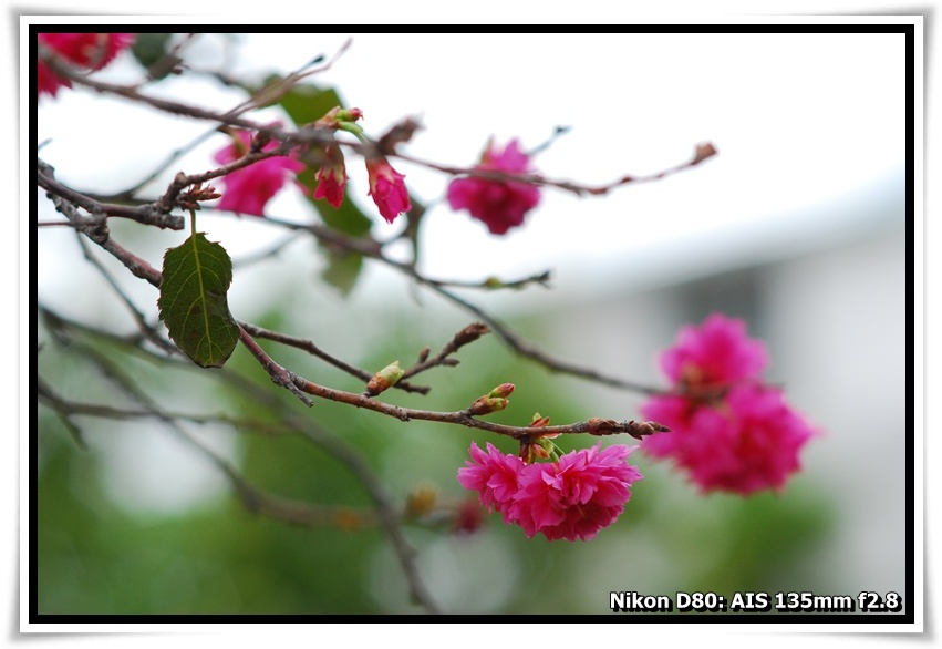 [DSC_5870.JPG]