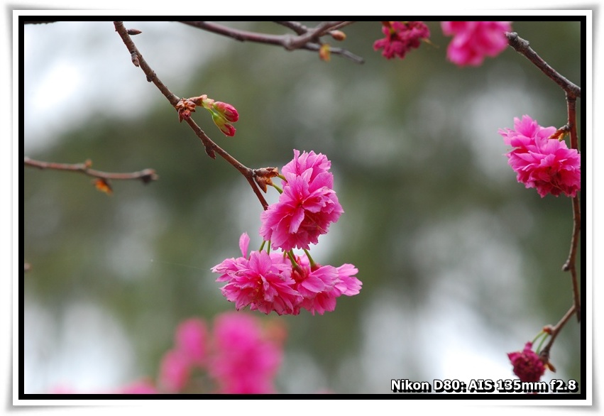 [DSC_5886.JPG]