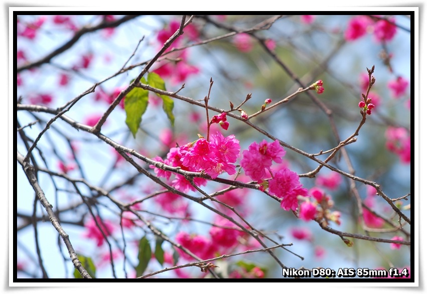 [DSC_5841.JPG]