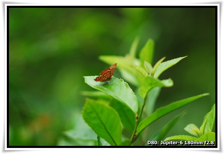 [DSC_3103.JPG]