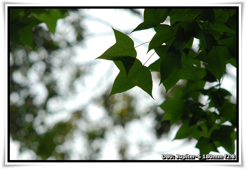 [DSC_3035.JPG]