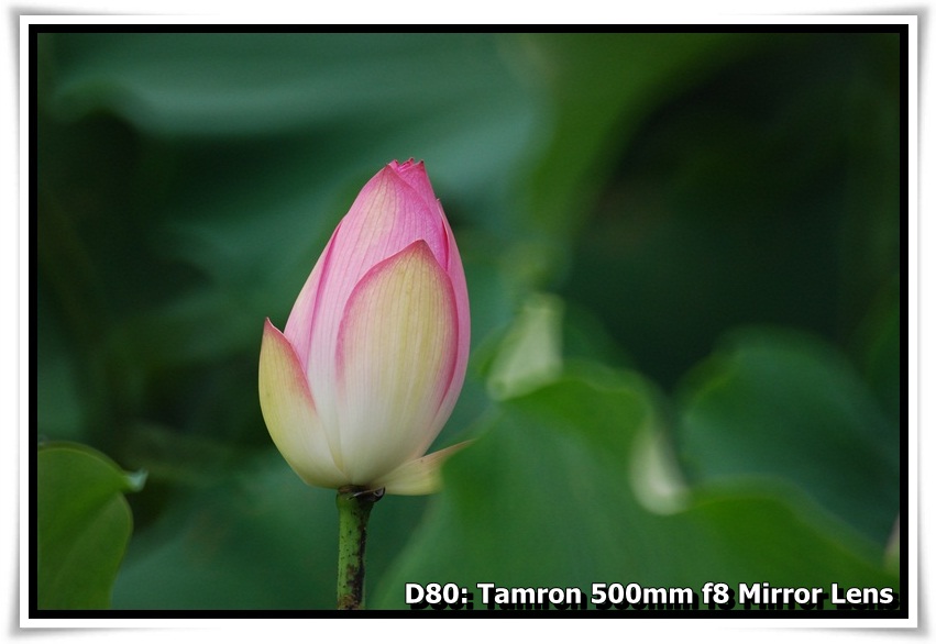 [DSC_4998.JPG]
