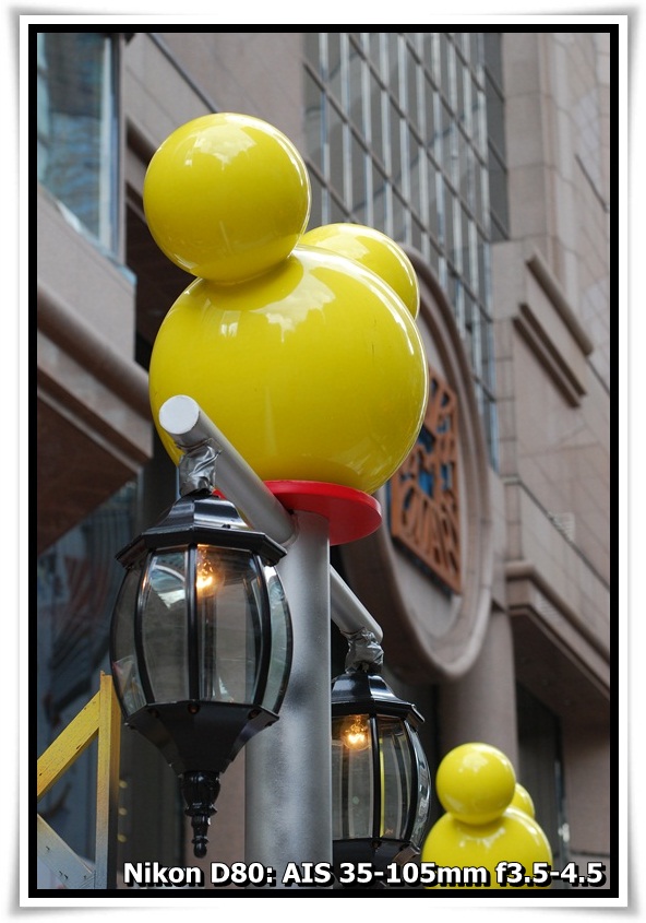 [DSC_6767.JPG]