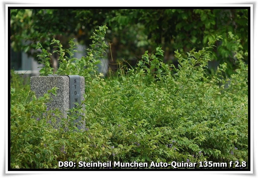 [DSC_7282.JPG]