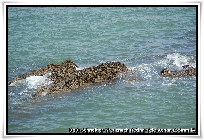 [DSC_7614_PengChau.JPG]
