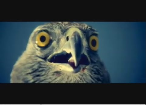eagle.jpg