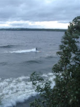 Surf in Storsjön