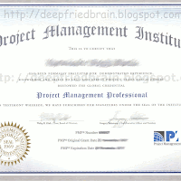 What does a PMP Certificate look like? 