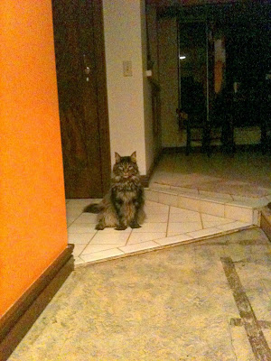 Milo Plots My Death Serving The Queens Jennifer Barko