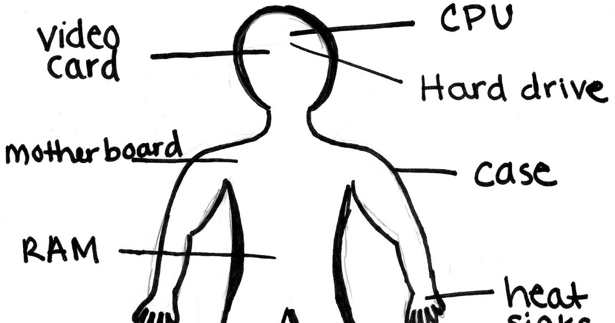 Amanda Basnight - ISM3004: Tutorial 1: Computer Hardware is like a ...