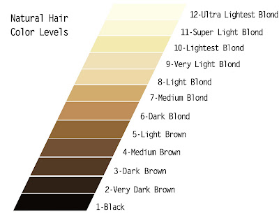 Level Chart -- Hair Color System  Hair levels, Color correction hair, Hair  color pastel