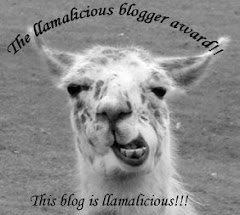 The llamalicious blogger award