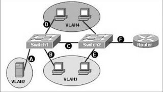 PASS4SURE CCNA: QUESTION 14 Refer to the exhibit. A network associate ...