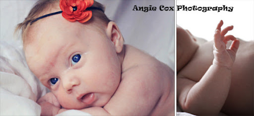 Angie Cox Photography