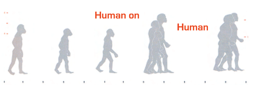 Human on Human