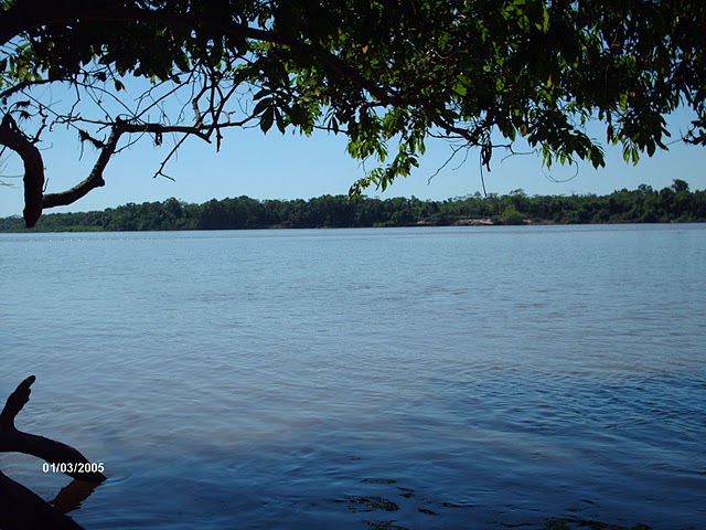 Palma Muniz Linguagem Parque Nacional do Araguaia