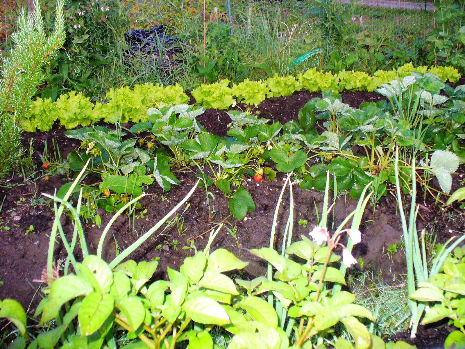 [July+2009+015.jpg]