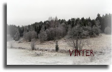 VINTERBILD