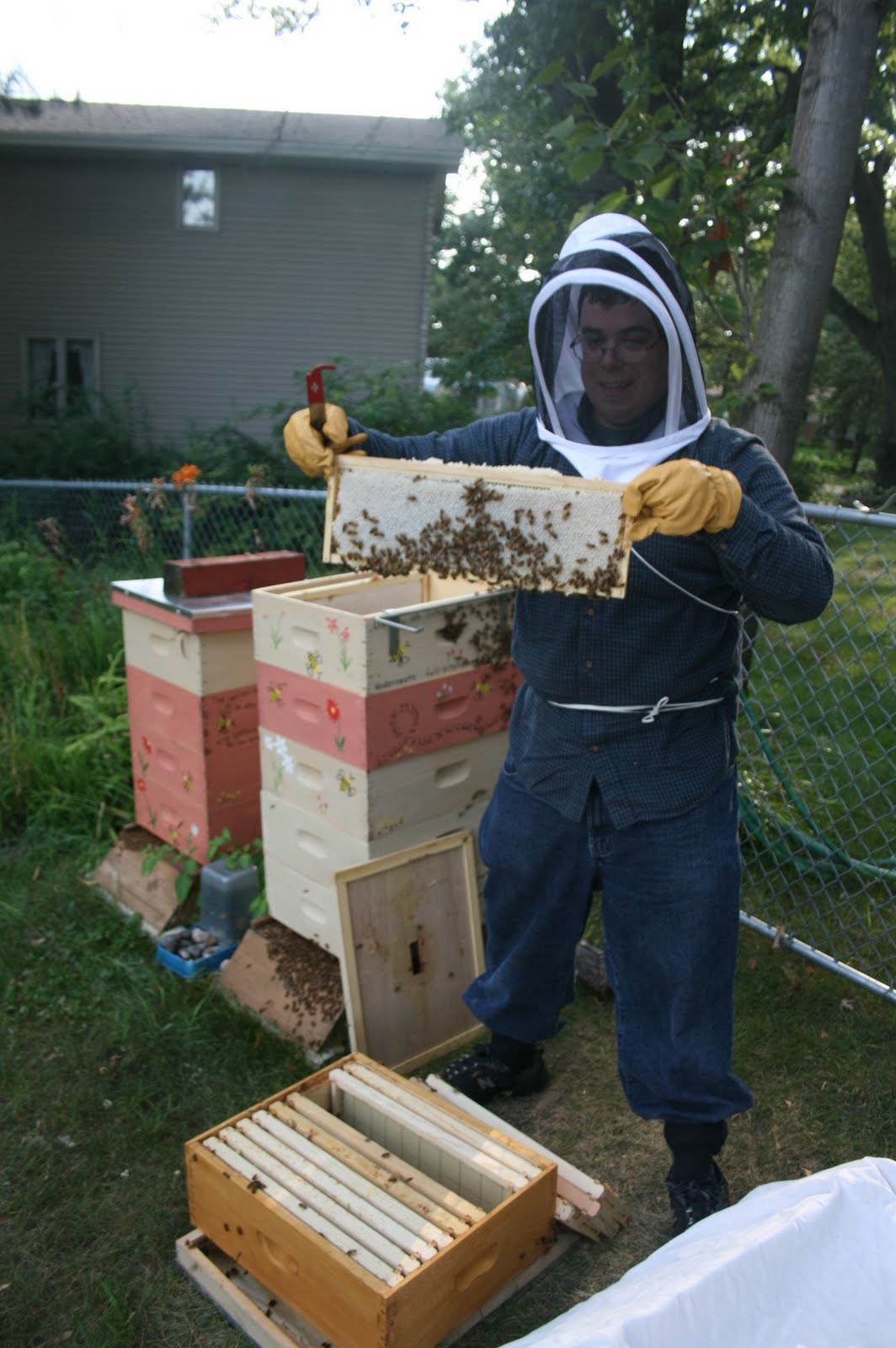 Apivia First Honey Harvest