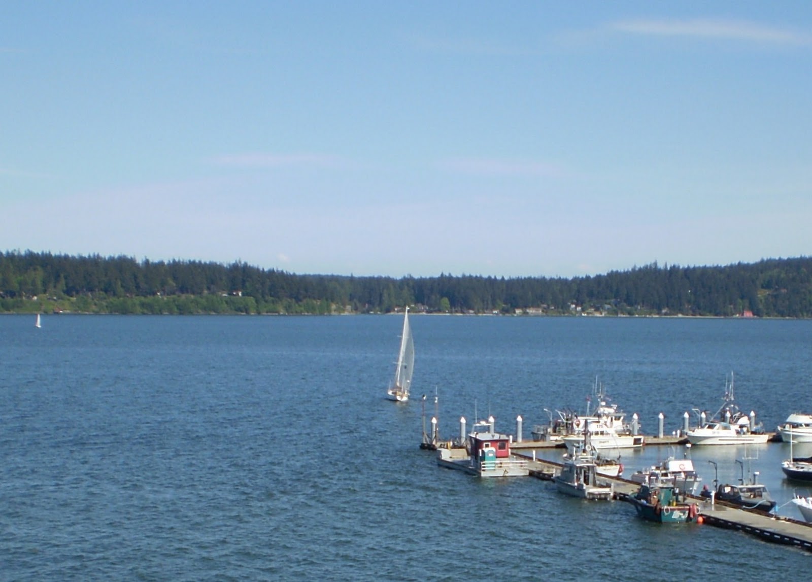 Beth Mitchum Miscellany Slices of My Life So Far (samples and photos)