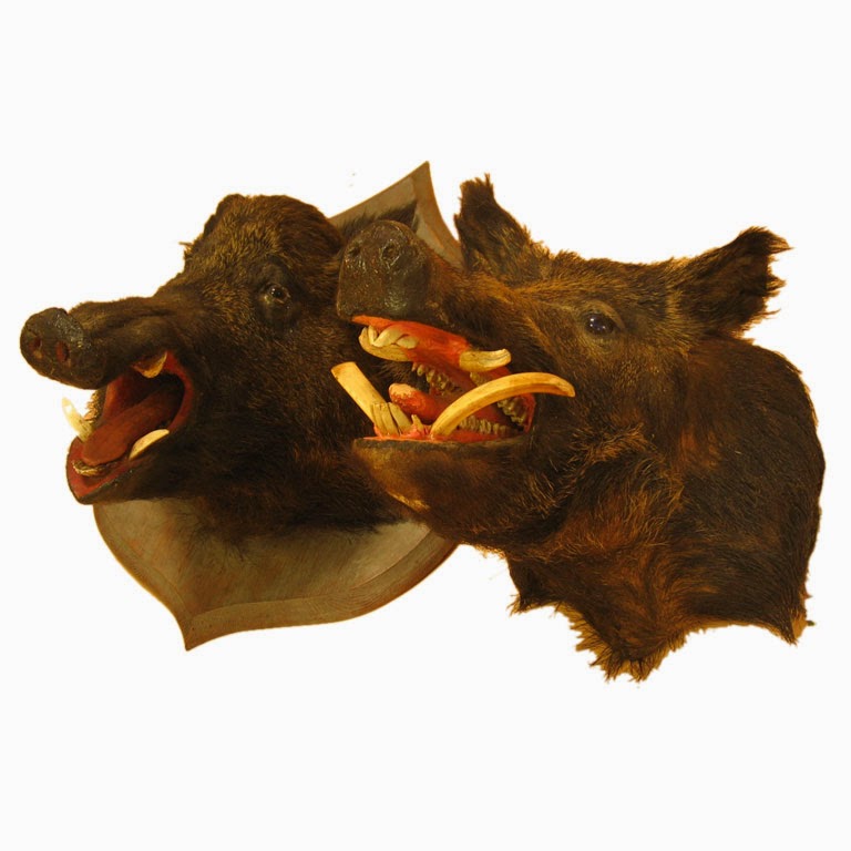 [lovely+wild+boar+couple.jpg]