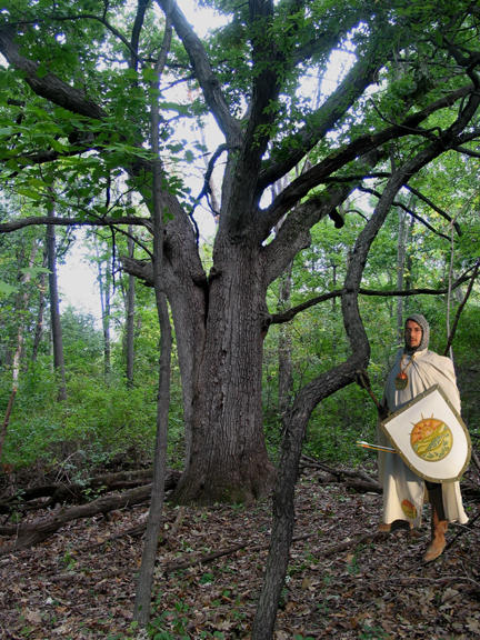 [BaladarClearing.jpg]