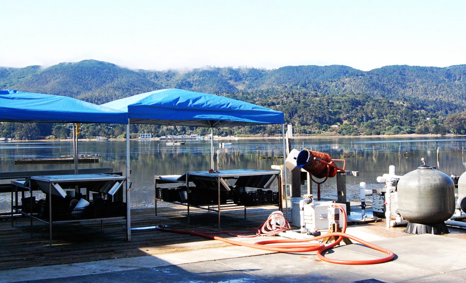 TNT ADVENTURES Tomales Bay Oyster Company Marshall