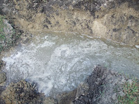 4 + 5 = 9: Water Line Leak In Our Back Yard