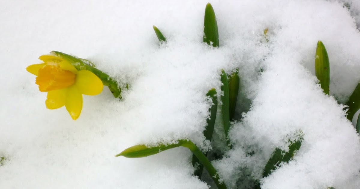 For Love Of The Table First Day Of Spring