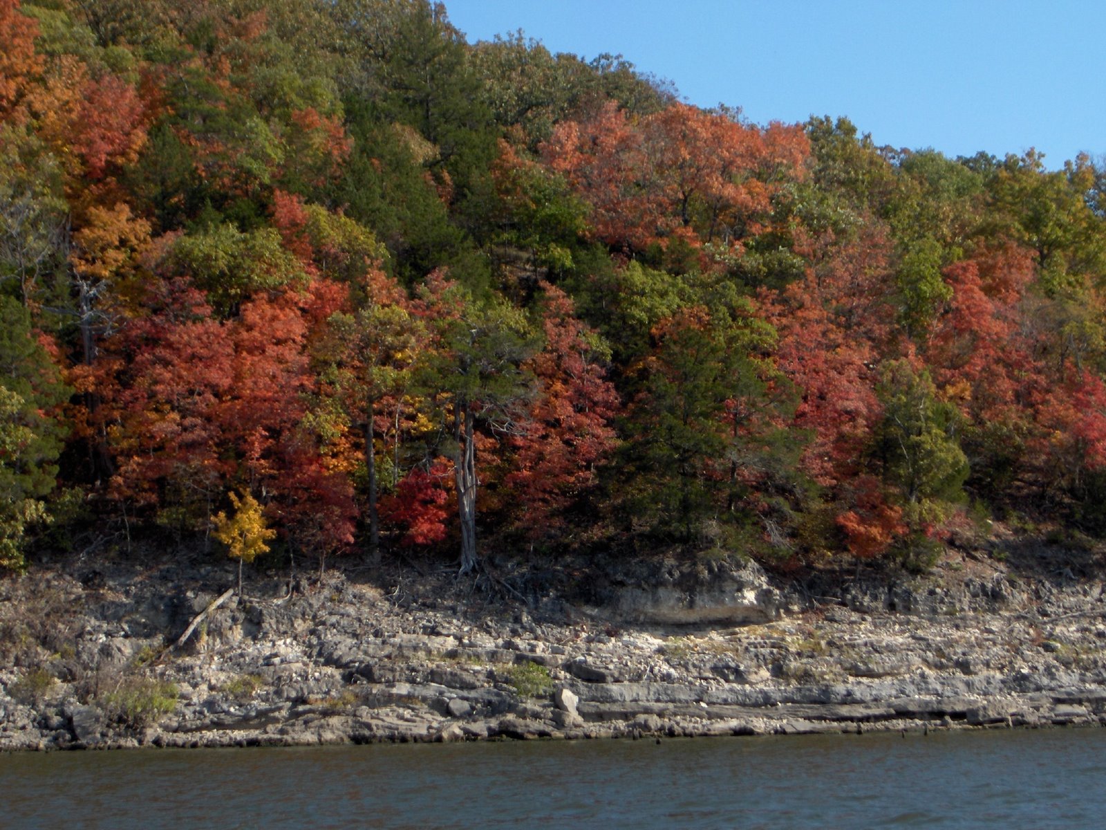 [leaves+along+lake+3.JPG]