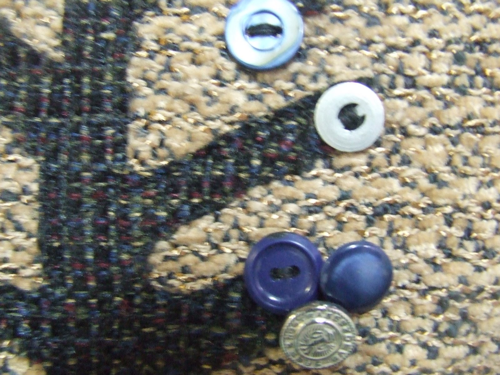[bags+008.JPG]